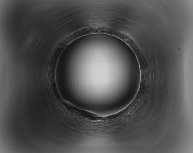 X0000088610919200705251218