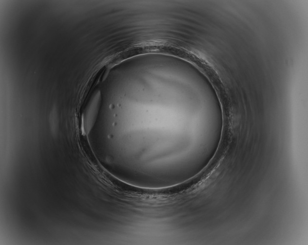 X0000088610921200705251218