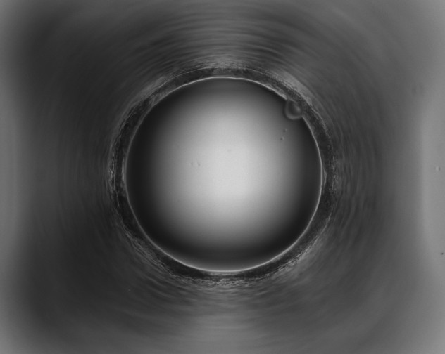 X0000088610922200705251218