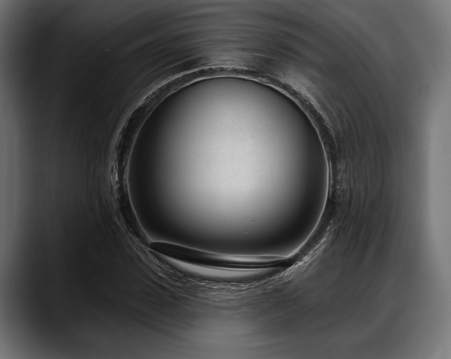 X0000088610923200705251218