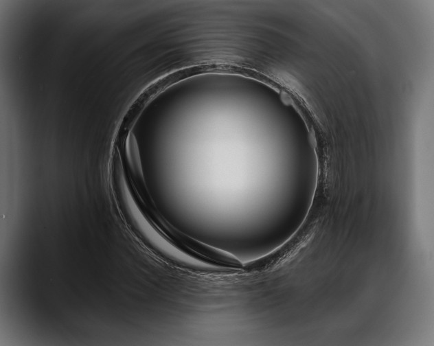 X0000088610924200705251218