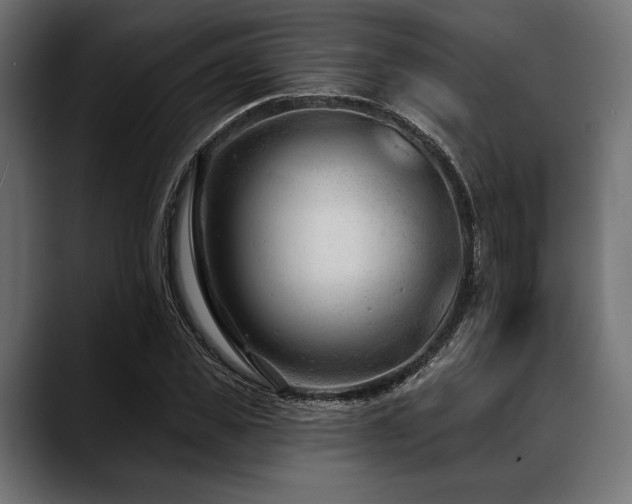 X0000088610925200705251218