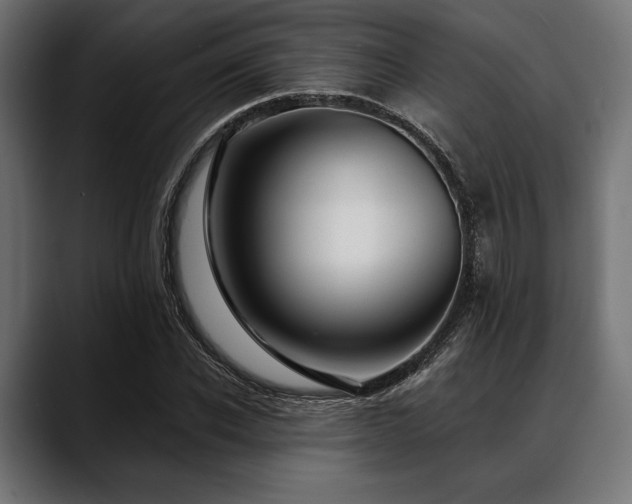 X0000088610926200705251218