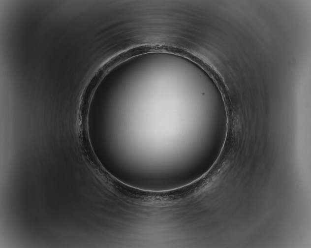 X0000088610927200705251218