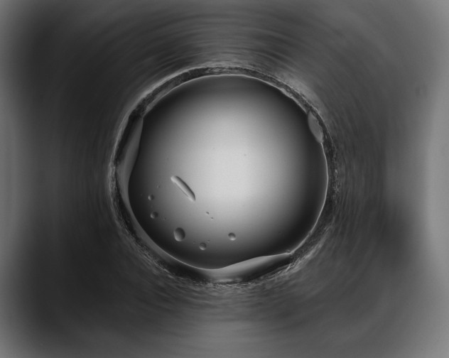 X0000088610928200705251218