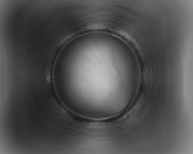 X0000088610929200705251218