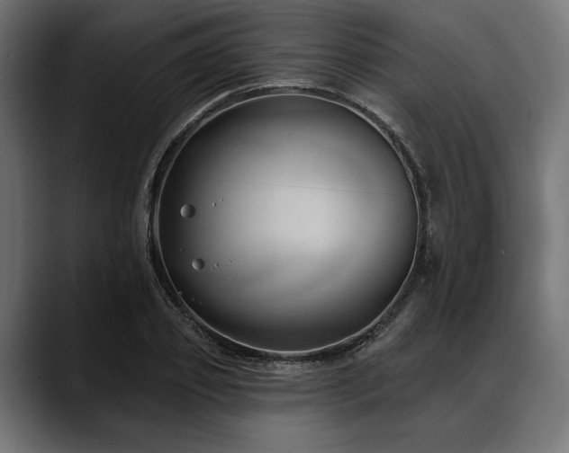 X0000088610933200705251218