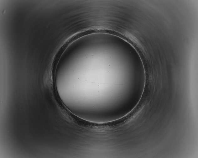 X0000088610934200705251218