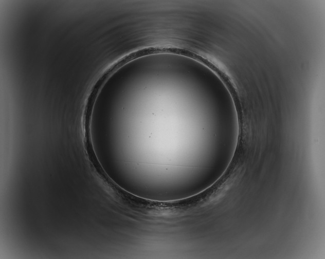 X0000088610935200705251218