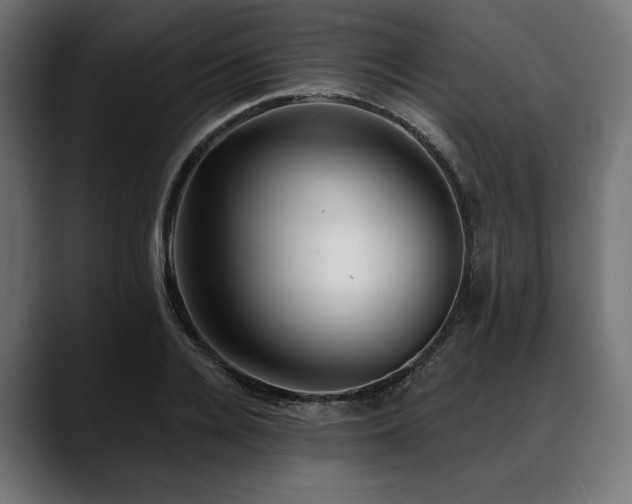 X0000088610936200705251218