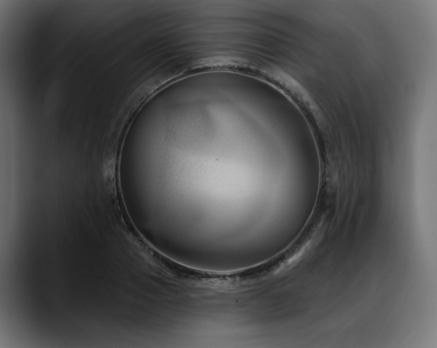 X0000088610937200705251218