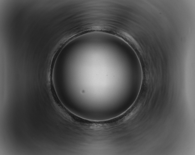 X0000088610938200705251218