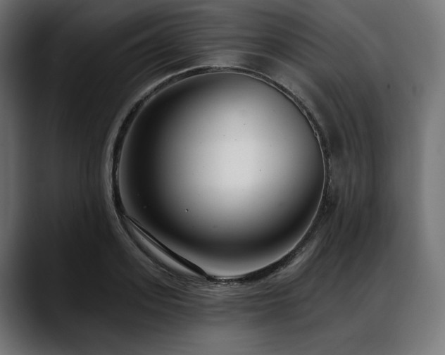 X0000088610939200705251218