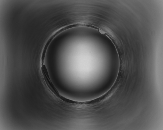 X0000088610940200705251218