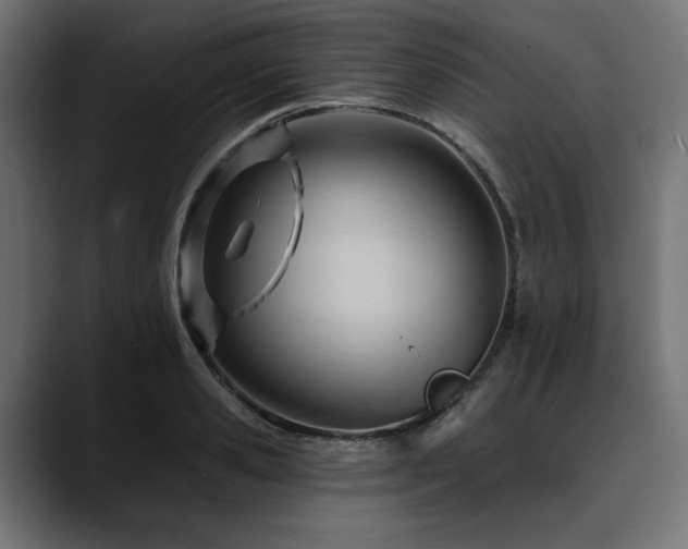 X0000088610941200705251218