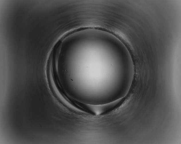 X0000088610942200705251218