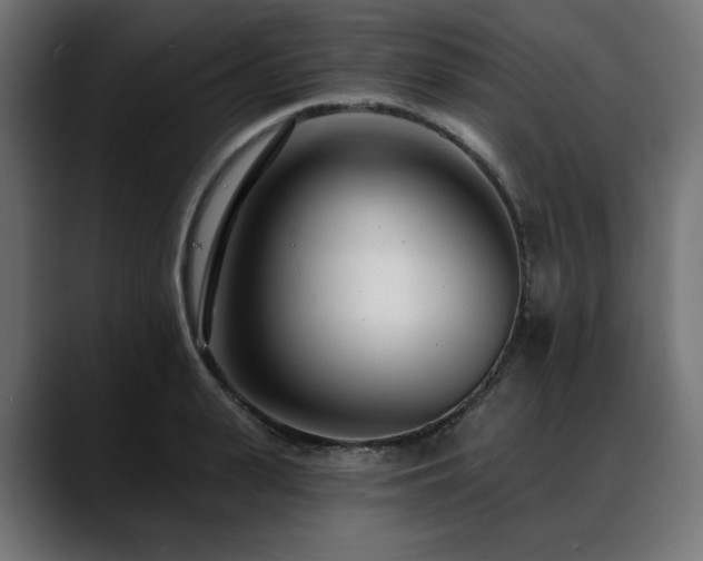 X0000088610943200705251218