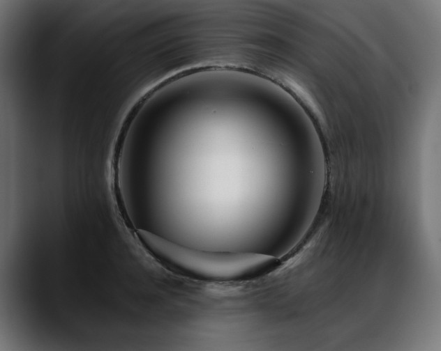 X0000088610944200705251218