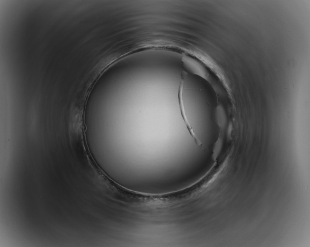 X0000088610945200705251218