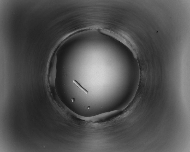 X0000088610948200705251218