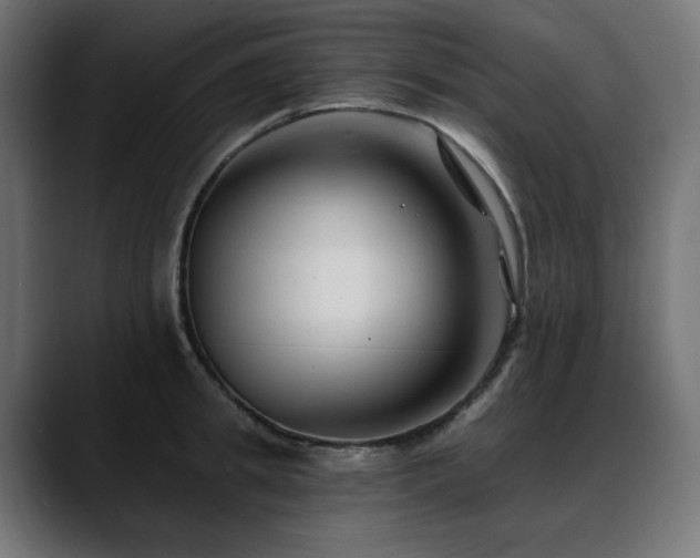 X0000088610949200705251218