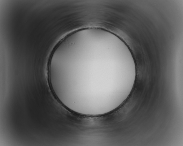 X0000088610950200705251218