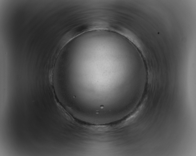 X0000088610953200705251218