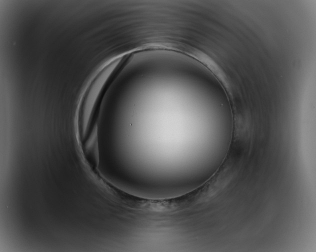 X0000088610955200705251218