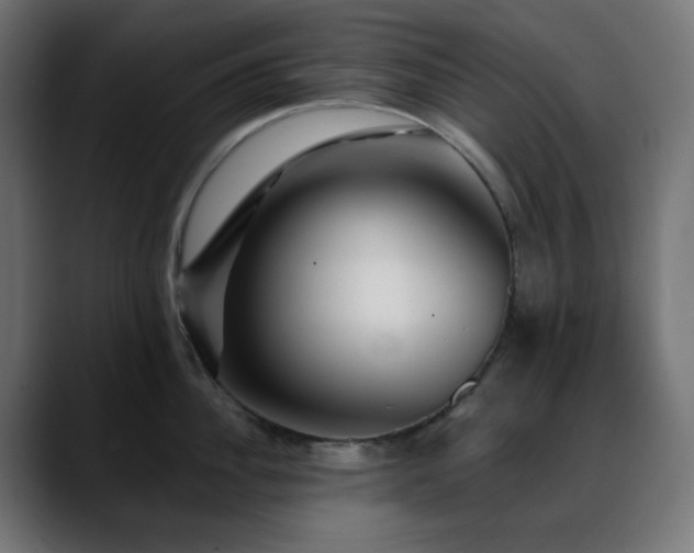 X0000088610956200705251218