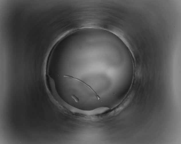 X0000088610957200705251218