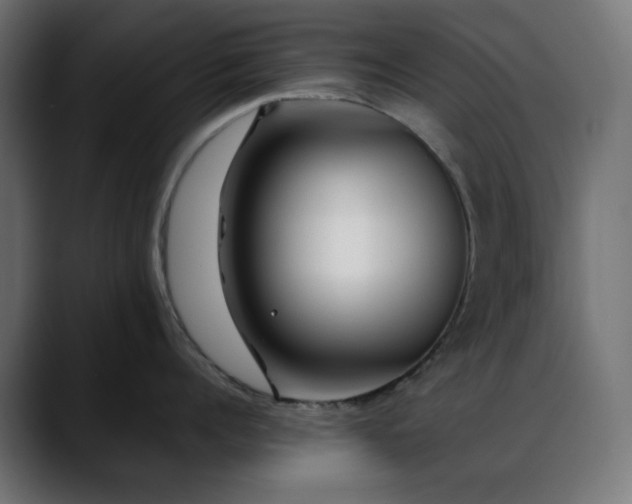 X0000088610960200705251218