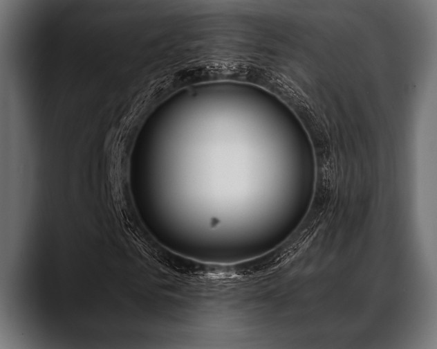 X0000088610961200705251217