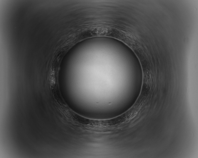 X0000088610962200705251217