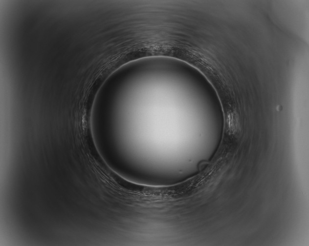 X0000088610963200705251217