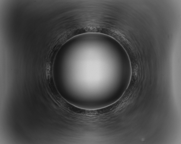 X0000088610964200705251217