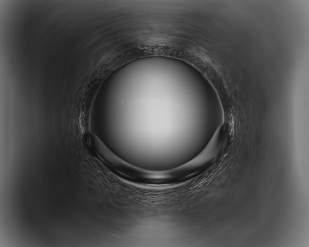 X0000088610965200705251217