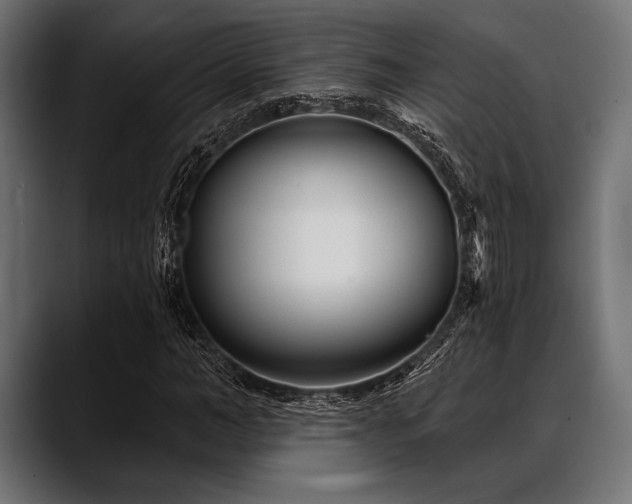 X0000088610966200705251217