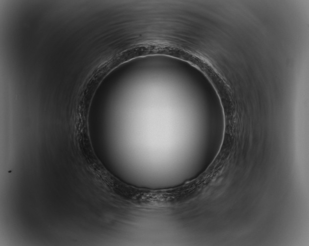 X0000088610967200705251217