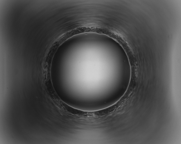 X0000088610968200705251217