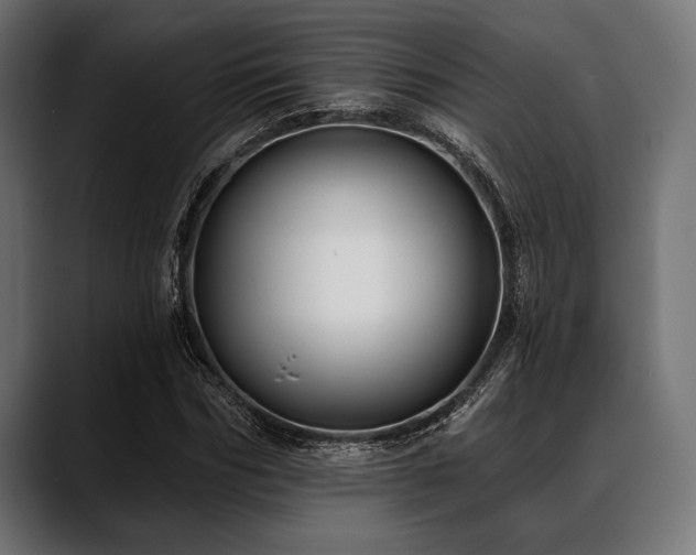 X0000088610970200705251217