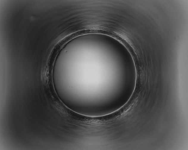 X0000088610971200705251217