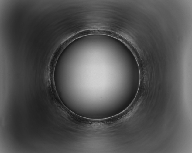 X0000088610974200705251217