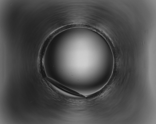 X0000088610975200705251217