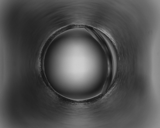 X0000088610976200705251217