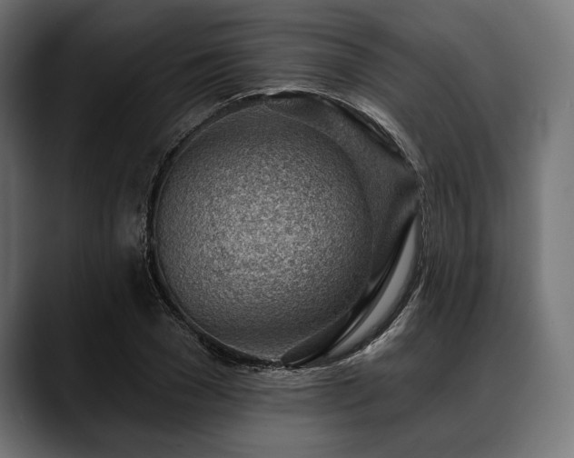 X0000088610977200705251217