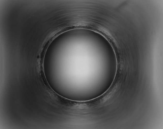 X0000088610978200705251217