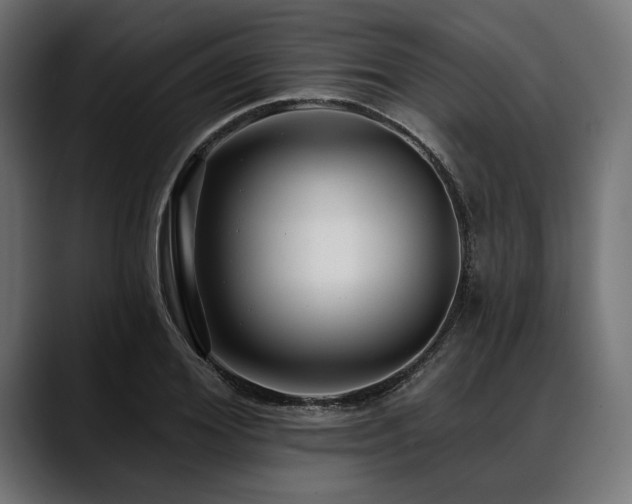 X0000088610980200705251217