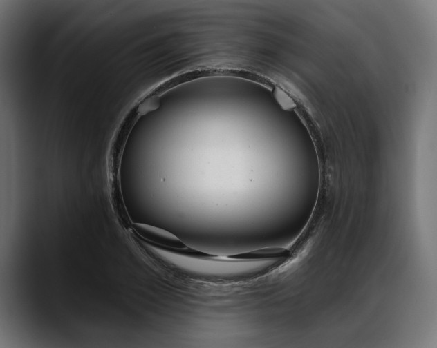 X0000088610981200705251217