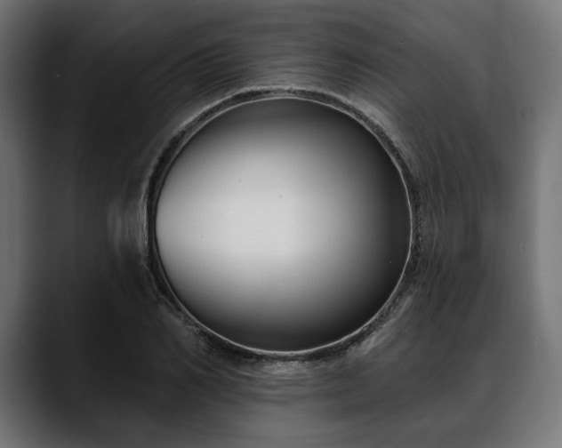 X0000088610982200705251217