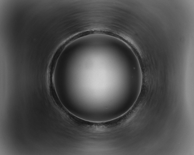 X0000088610983200705251217